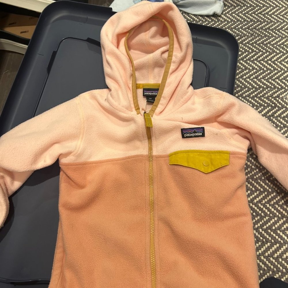 Patagonia Micro D Snap Fleece
